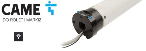 Silnik CAME 100NM MONDRIAN R6 z Radiem Mechaniczne Krańcówki